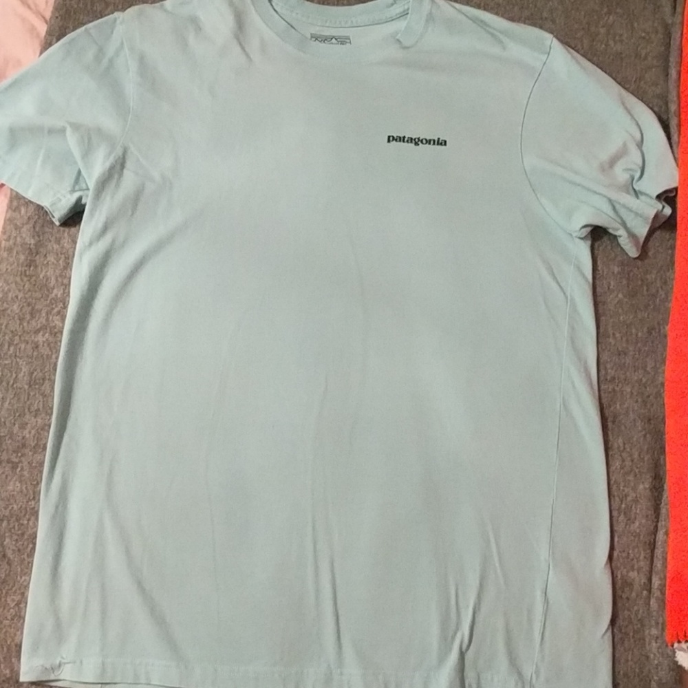 Patagonia t-shirt